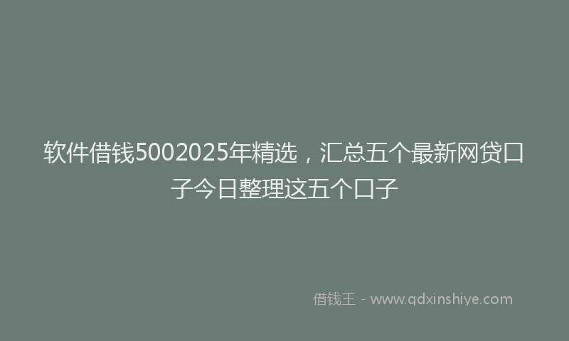 软件借钱5002025年精选，汇总五个最新网贷口子今日整理这五个口子