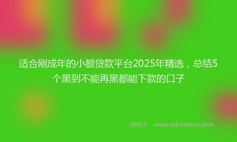 适合刚成年的小额贷款平台2025年精选，总结5个黑到不能再黑都能下款的口子