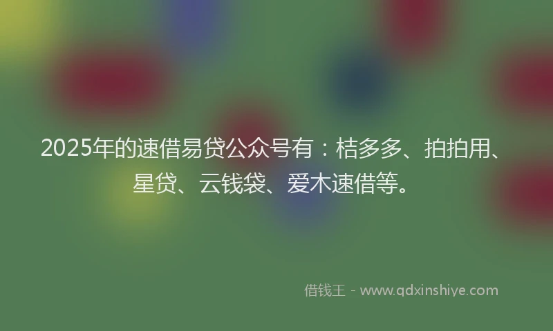 2025年的速借易贷公众号有：桔多多、拍拍用、星贷、云钱袋、爱木速借等。