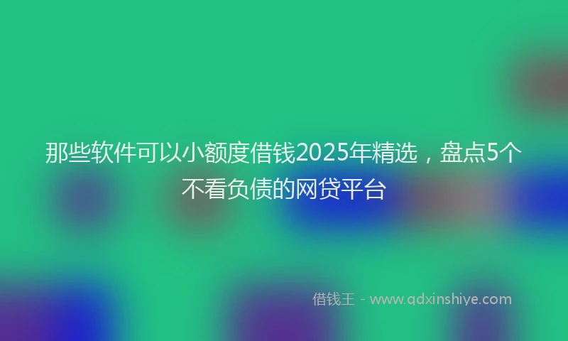 那些软件可以小额度借钱2025年精选，盘点5个不看负债的网贷平台