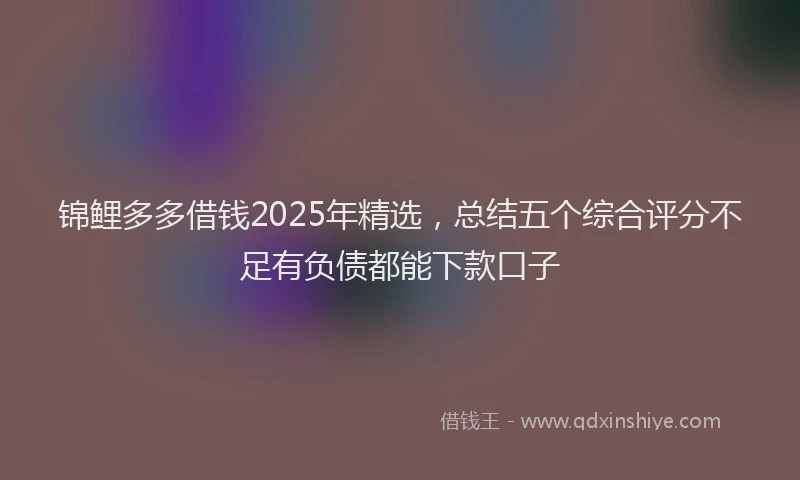 锦鲤多多借钱2025年精选，总结五个综合评分不足有负债都能下款口子