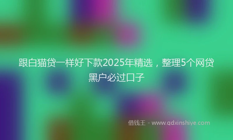 跟白猫贷一样好下款2025年精选，整理5个网贷黑户必过口子