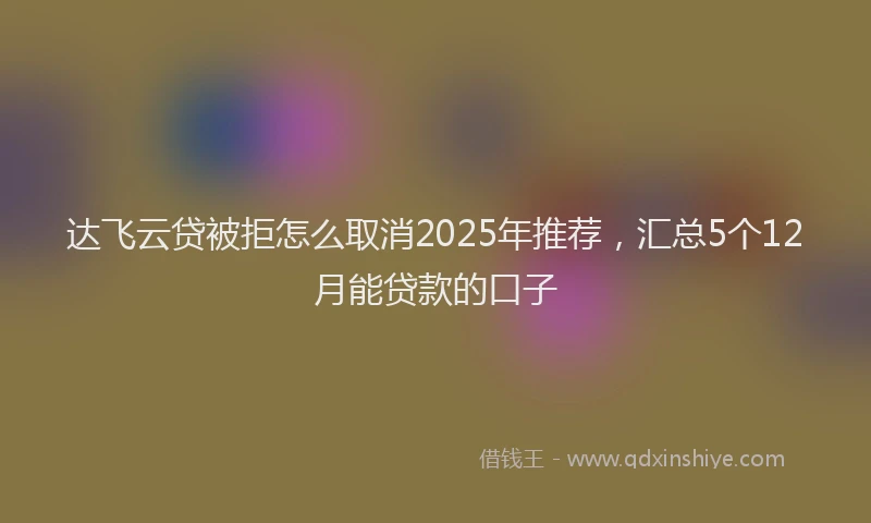 达飞云贷被拒怎么取消2025年推荐，汇总5个12月能贷款的口子