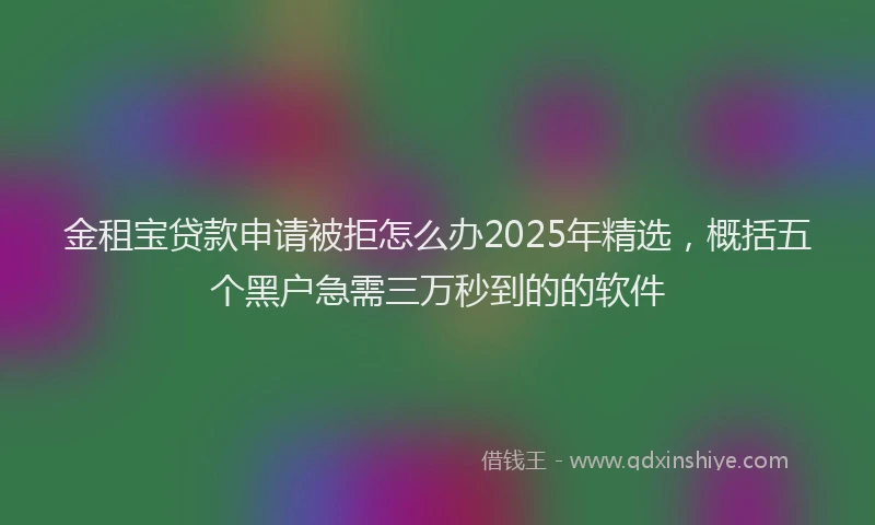 金租宝贷款申请被拒怎么办2025年精选，概括五个黑户急需三万秒到的的软件