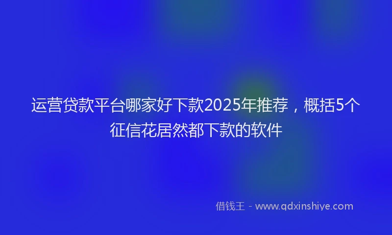 运营贷款平台哪家好下款2025年推荐，概括5个征信花居然都下款的软件