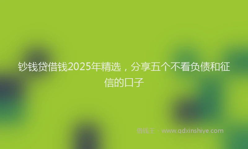 钞钱贷借钱2025年精选，分享五个不看负债和征信的口子