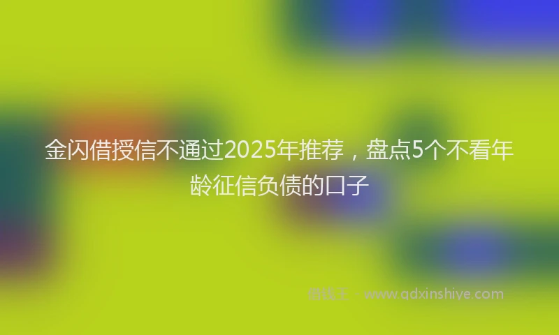 金闪借授信不通过2025年推荐，盘点5个不看年龄征信负债的口子