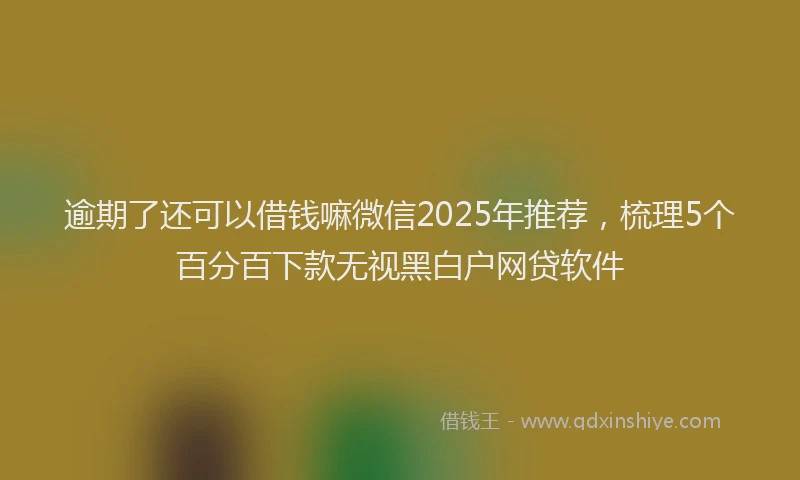 逾期了还可以借钱嘛微信2025年推荐，梳理5个百分百下款无视黑白户网贷软件