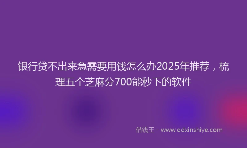 银行贷不出来急需要用钱怎么办2025年推荐，梳理五个芝麻分700能秒下的软件