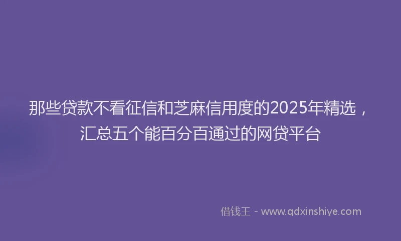 那些贷款不看征信和芝麻信用度的2025年精选，汇总五个能百分百通过的网贷平台