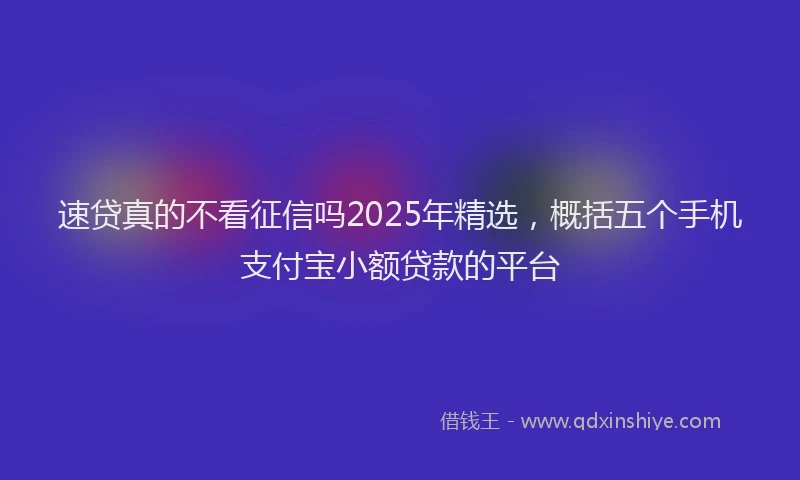 速贷真的不看征信吗2025年精选，概括五个手机支付宝小额贷款的平台