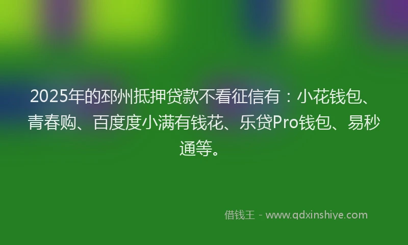2025年的邳州抵押贷款不看征信有：小花钱包、青春购、百度度小满有钱花、乐贷Pro钱包、易秒通等。