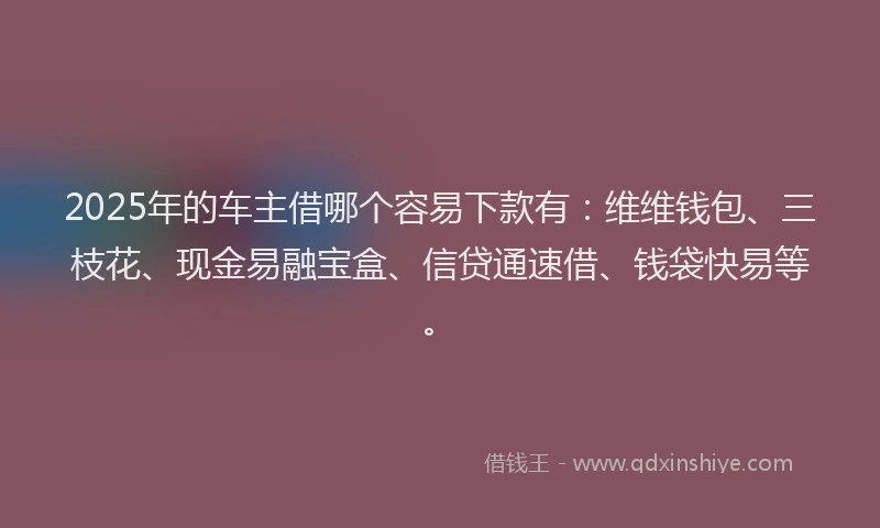 2025年的车主借哪个容易下款有：维维钱包、三枝花、现金易融宝盒、信贷通速借、钱袋快易等。