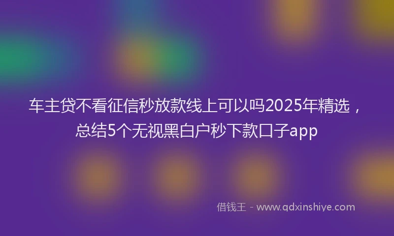 车主贷不看征信秒放款线上可以吗2025年精选，总结5个无视黑白户秒下款口子app