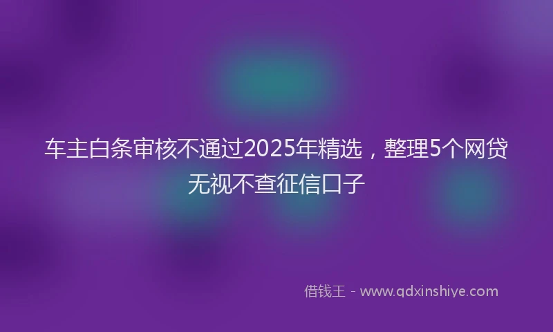 车主白条审核不通过2025年精选，整理5个网贷无视不查征信口子