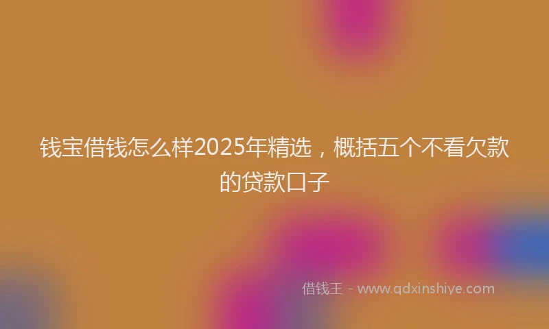 钱宝借钱怎么样2025年精选，概括五个不看欠款的贷款口子
