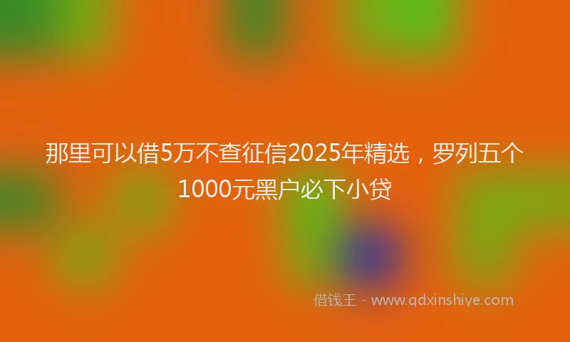 那里可以借5万不查征信2025年精选，罗列五个1000元黑户必下小贷