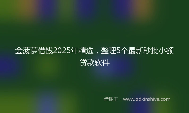 金菠萝借钱2025年精选，整理5个最新秒批小额贷款软件