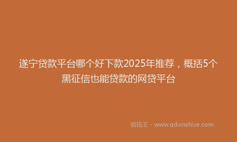 遂宁贷款平台哪个好下款2025年推荐，概括5个黑征信也能贷款的网贷平台