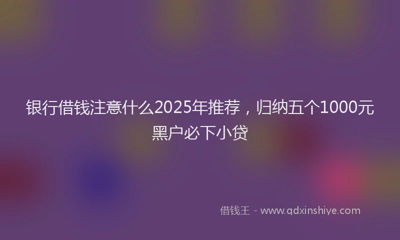 银行借钱注意什么2025年推荐，归纳五个1000元黑户必下小贷