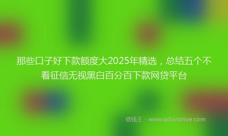 那些口子好下款额度大2025年精选，总结五个不看征信无视黑白百分百下款网贷平台