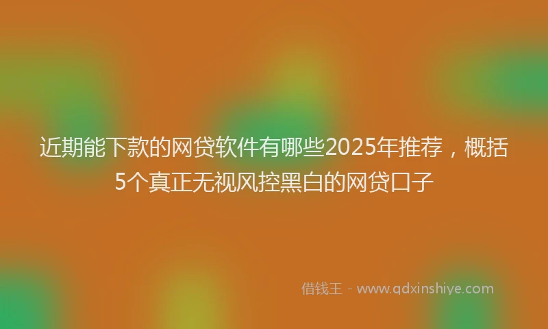 近期能下款的网贷软件有哪些2025年推荐，概括5个真正无视风控黑白的网贷口子