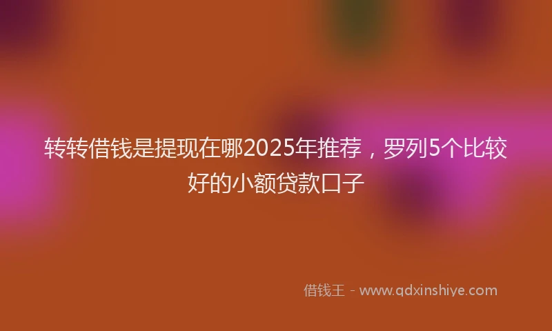 转转借钱是提现在哪2025年推荐，罗列5个比较好的小额贷款口子