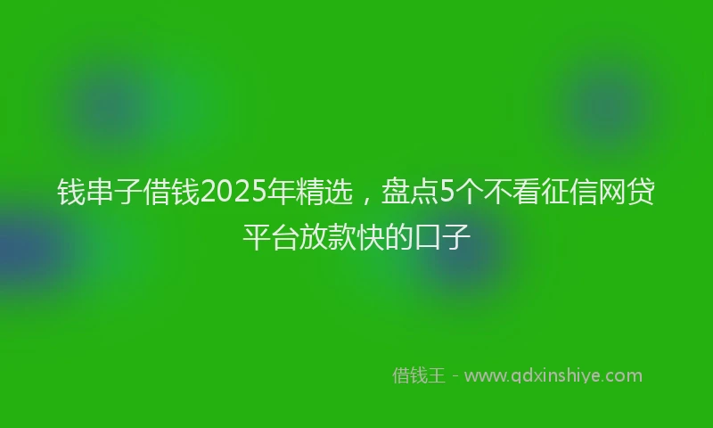钱串子借钱2025年精选，盘点5个不看征信网贷平台放款快的口子