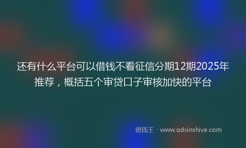 还有什么平台可以借钱不看征信分期12期2025年推荐，概括五个审贷口子审核加快的平台