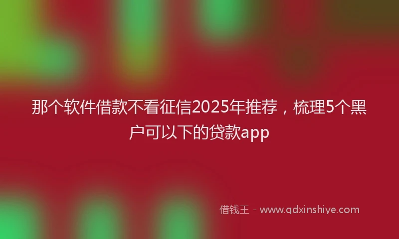 那个软件借款不看征信2025年推荐，梳理5个黑户可以下的贷款app