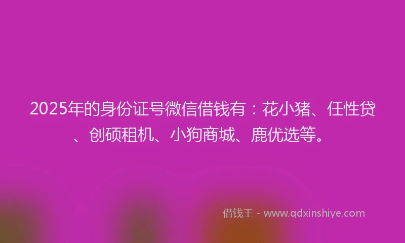 2025年的身份证号微信借钱有：花小猪、任性贷、创硕租机、小狗商城、鹿优选等。