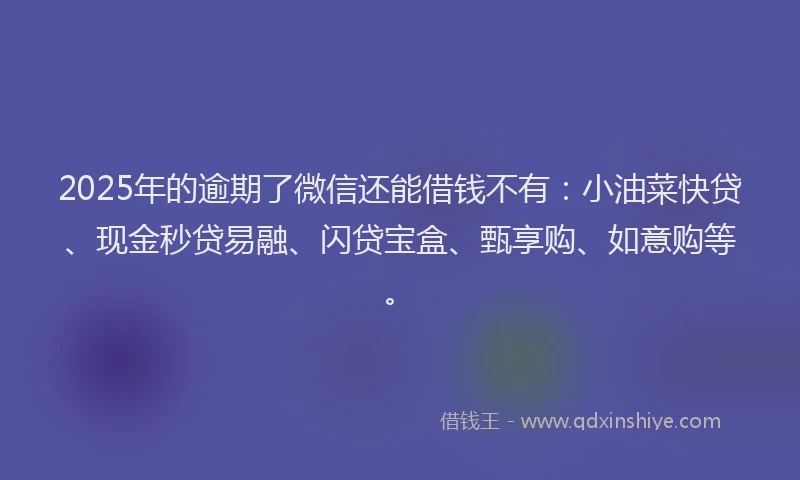 2025年的逾期了微信还能借钱不有：小油菜快贷、现金秒贷易融、闪贷宝盒、甄享购、如意购等。