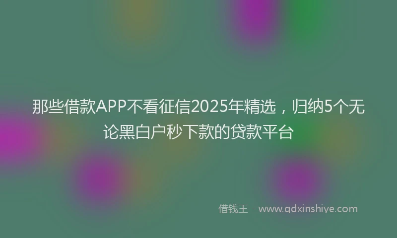 那些借款APP不看征信2025年精选，归纳5个无论黑白户秒下款的贷款平台