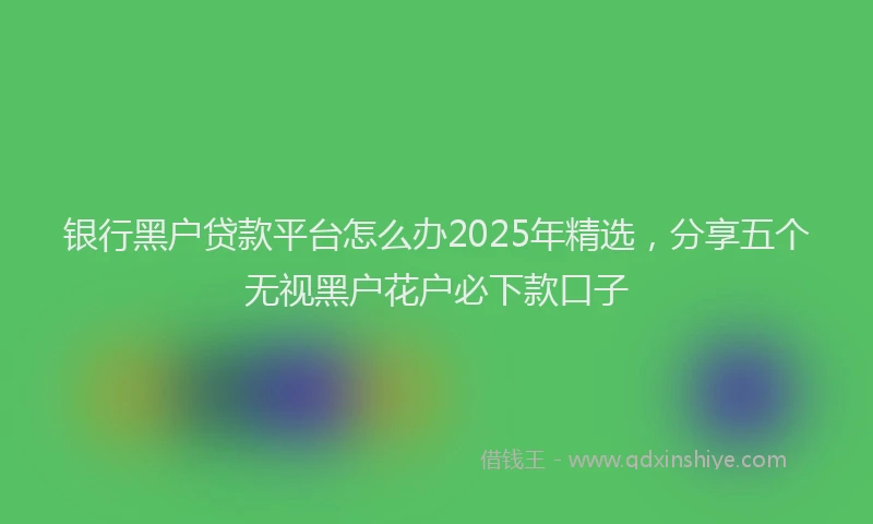银行黑户贷款平台怎么办2025年精选，分享五个无视黑户花户必下款口子
