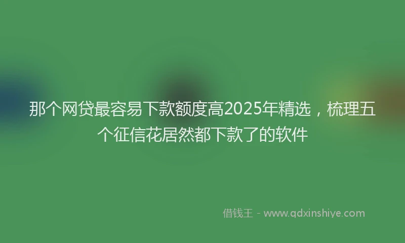 那个网贷最容易下款额度高2025年精选，梳理五个征信花居然都下款了的软件