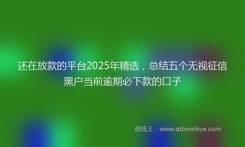 还在放款的平台2025年精选，总结五个无视征信黑户当前逾期必下款的口子