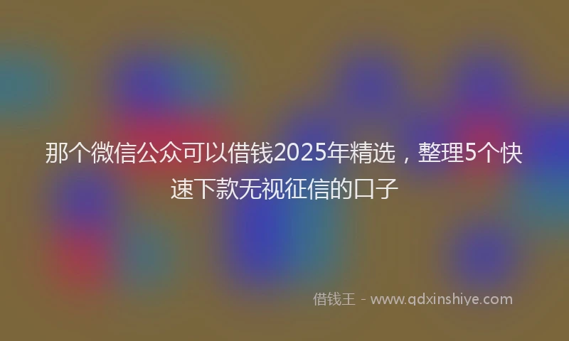 那个微信公众可以借钱2025年精选，整理5个快速下款无视征信的口子