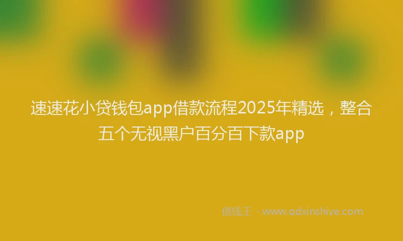 速速花小贷钱包app借款流程2025年精选，整合五个无视黑户百分百下款app