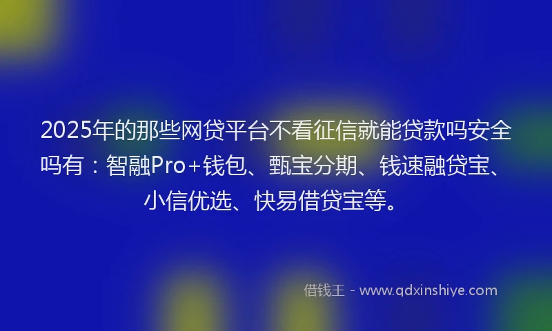 2025年的那些网贷平台不看征信就能贷款吗安全吗有：智融Pro+钱包、甄宝分期、钱速融贷宝、小信优选、快易借贷宝等。