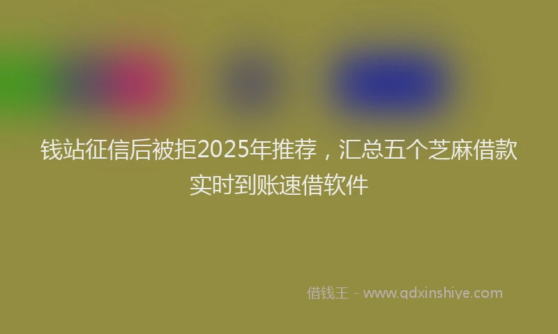 钱站征信后被拒2025年推荐，汇总五个芝麻借款实时到账速借软件