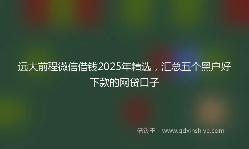 远大前程微信借钱2025年精选，汇总五个黑户好下款的网贷口子