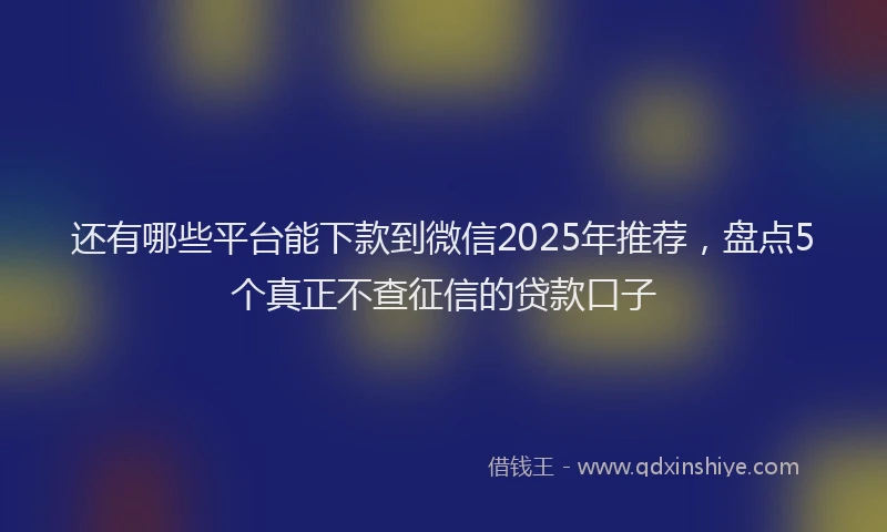 还有哪些平台能下款到微信2025年推荐，盘点5个真正不查征信的贷款口子