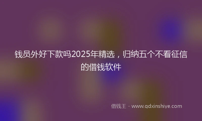钱员外好下款吗2025年精选，归纳五个不看征信的借钱软件