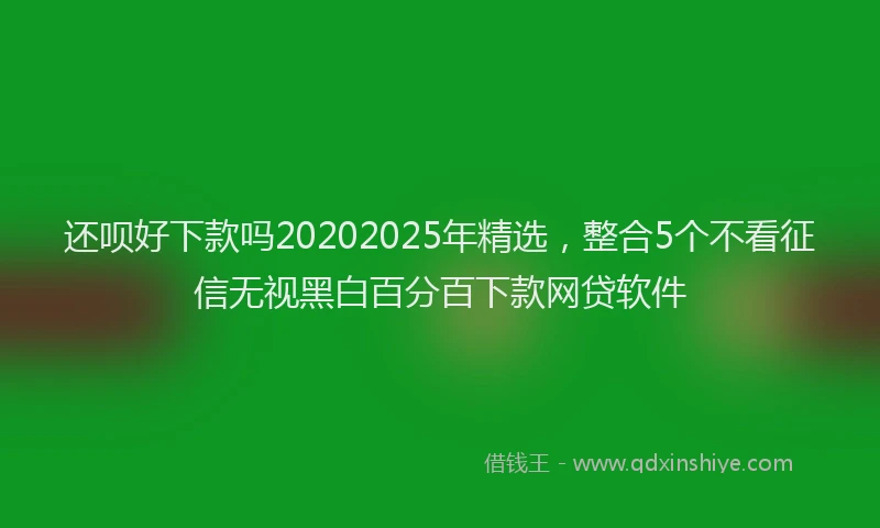 还呗好下款吗20202025年精选，整合5个不看征信无视黑白百分百下款网贷软件