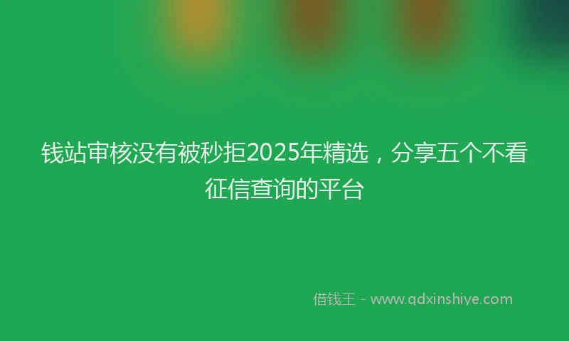 钱站审核没有被秒拒2025年精选，分享五个不看征信查询的平台