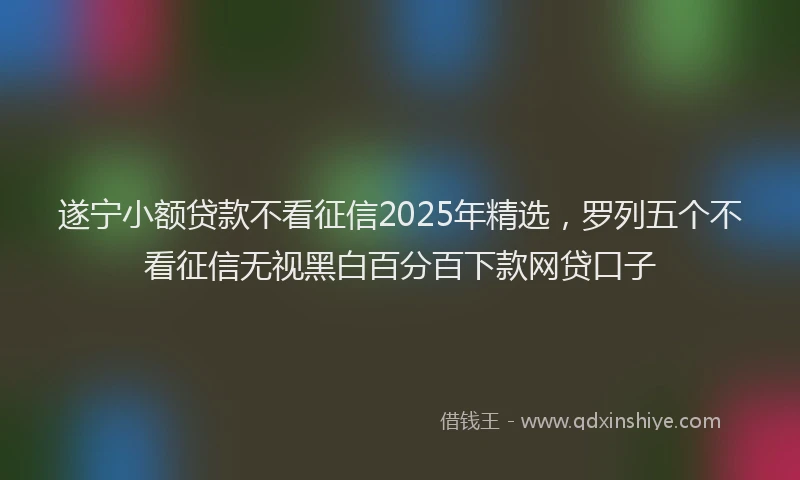 遂宁小额贷款不看征信2025年精选，罗列五个不看征信无视黑白百分百下款网贷口子