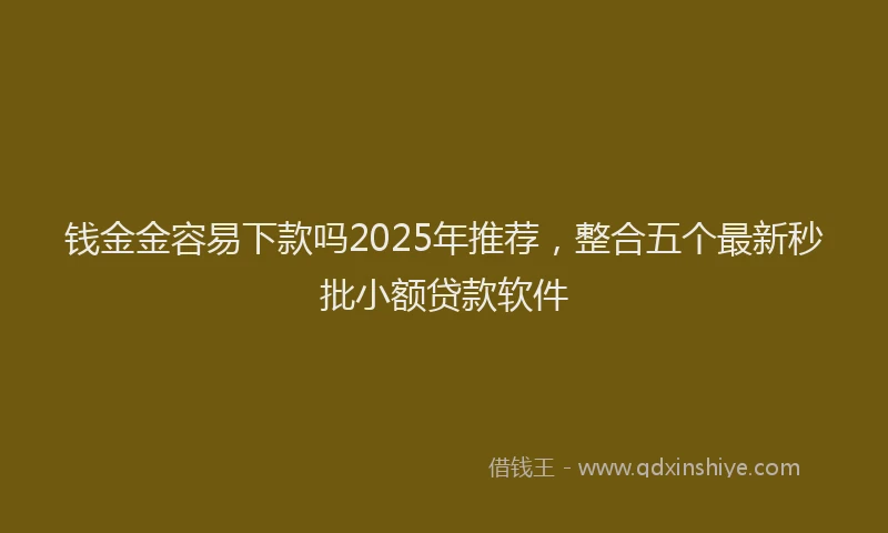 钱金金容易下款吗2025年推荐，整合五个最新秒批小额贷款软件