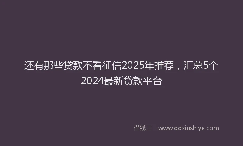 还有那些贷款不看征信2025年推荐，汇总5个2024最新贷款平台