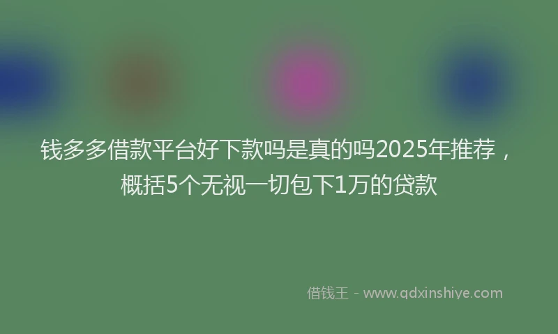 钱多多借款平台好下款吗是真的吗2025年推荐，概括5个无视一切包下1万的贷款
