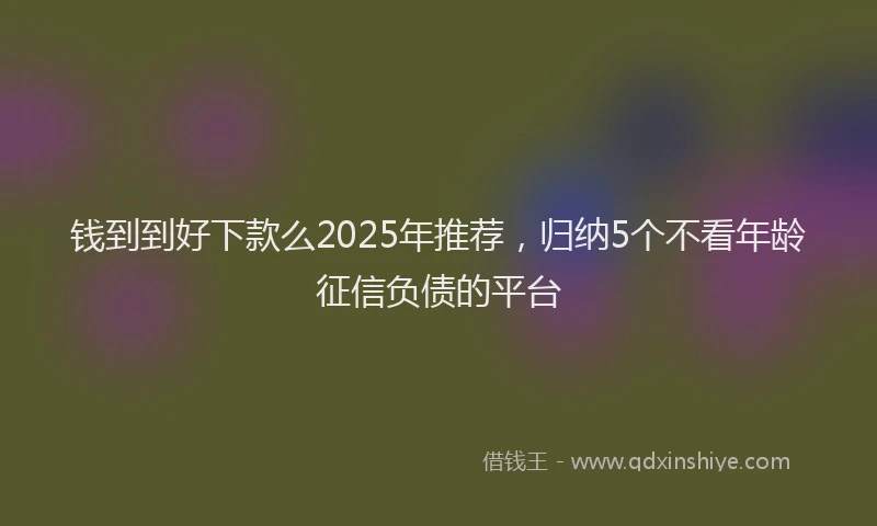 钱到到好下款么2025年推荐，归纳5个不看年龄征信负债的平台